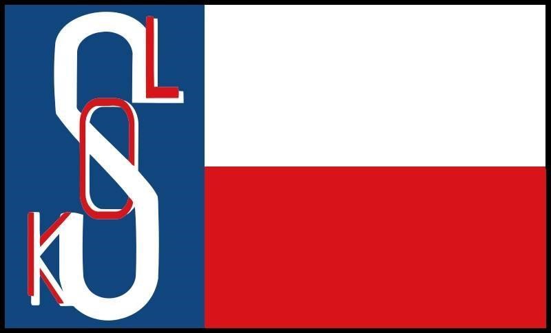 Vlajka České obce sokolské